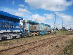 RUMO 9819